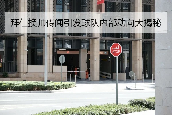 拜仁换帅传闻引发球队内部动向大揭秘