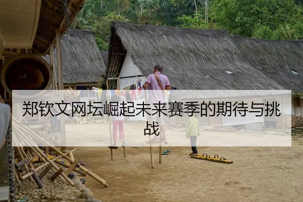 郑钦文网坛崛起未来赛季的期待与挑战