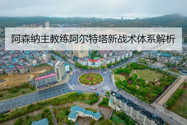 a-sen-na-zhu-jiao-lian-a-er-te-ta-xin-zhan-shu-ti-xi-jie-xi-2-799.jpg